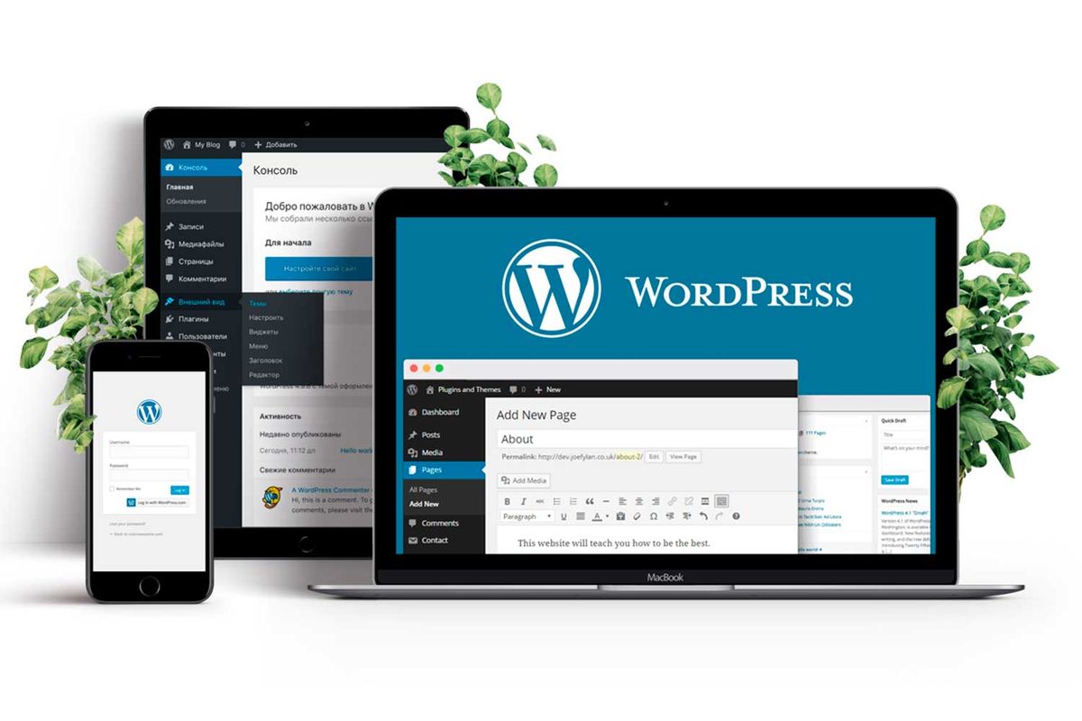SEO-Friendly WordPress Website for Small Businesses